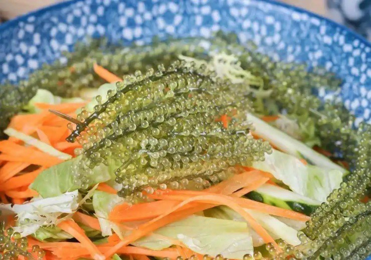 Đối tượng nên thêm rong nho vào thực đơn